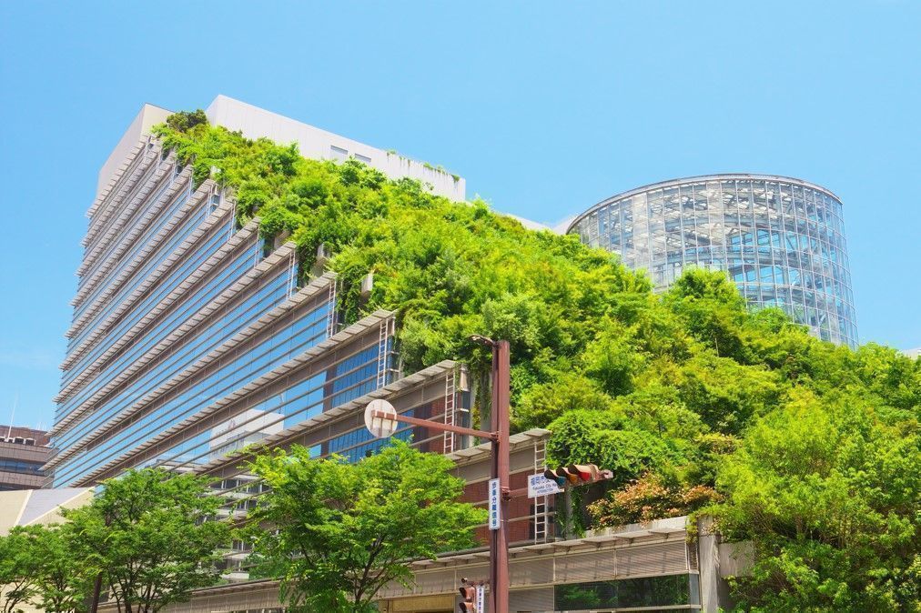 3 Inspiring Success Stories of Sustainable Development Projects Leveraging Green Certifications